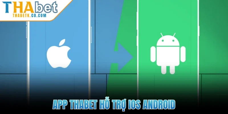Thabet 268 App Thabet hỗ trợ iOS Android